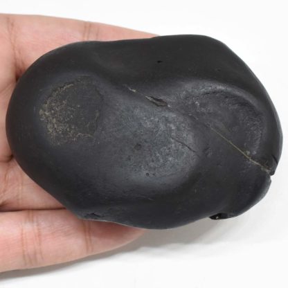 219gms-Kamal-Narayan-Shaligram-Top