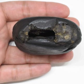 Laxmi Varaha Shaligram