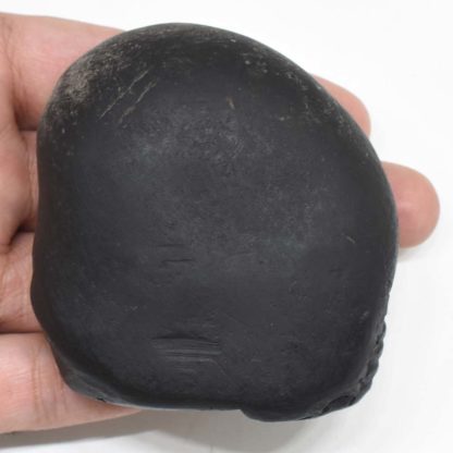 249gms-Laxmi-Varaha-Shaligram-Top