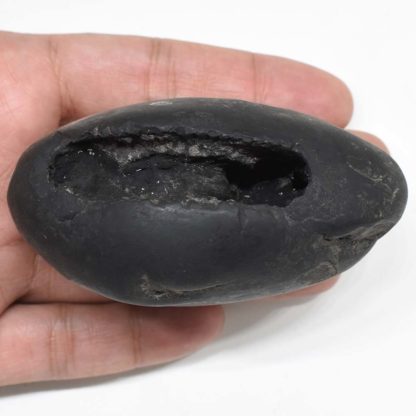 286gms-Padmanabha-Shaligram