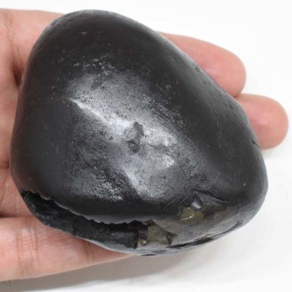 309gms-Dhanvantari -Shaligram-Back