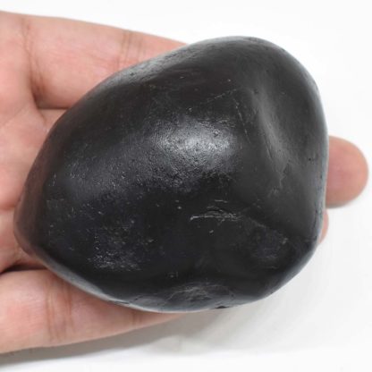 309gms-Dhanvantari -Shaligram-Top