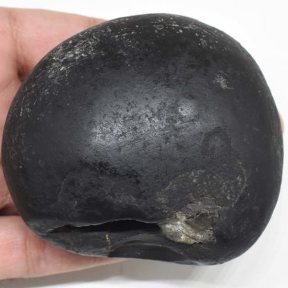 348gms-Dhanvantari -Shaligram-Back