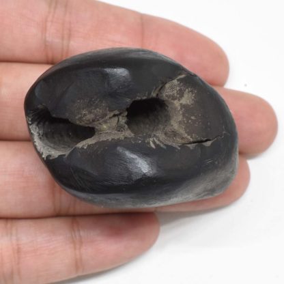 98gms-Surya-Narayan-Shaligram