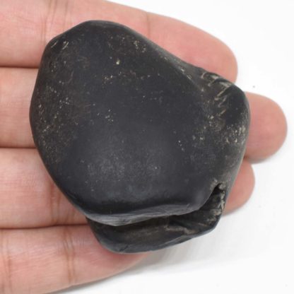 98gms-Surya-Narayan-Shaligram-Back