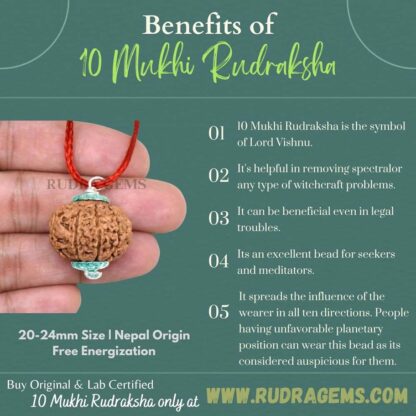 10 Mukhi Rudraksha Benefits