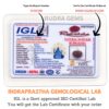 10-Mukhi-Rudraksha-Nepal-Lab-Certificate