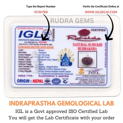 10-Mukhi-Rudraksha-Nepal-Lab-Certificate