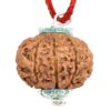 10-Mukhi-Rudraksha-Nepal-Silver-Pendant