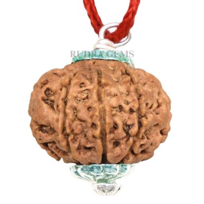 10-Mukhi-Rudraksha-Nepal-Silver-Pendant