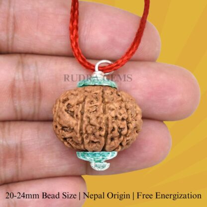10-Mukhi-Rudraksha-Nepal-Silver-Pendant-Hand