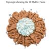10-Mukhi-Rudraksha-Nepal-Silver-Pendant-Top
