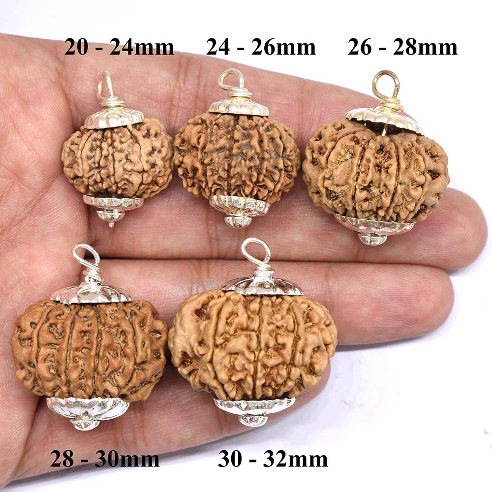 10-Mukhi-Rudraksha-Nepal-Size-Comparison-Hand