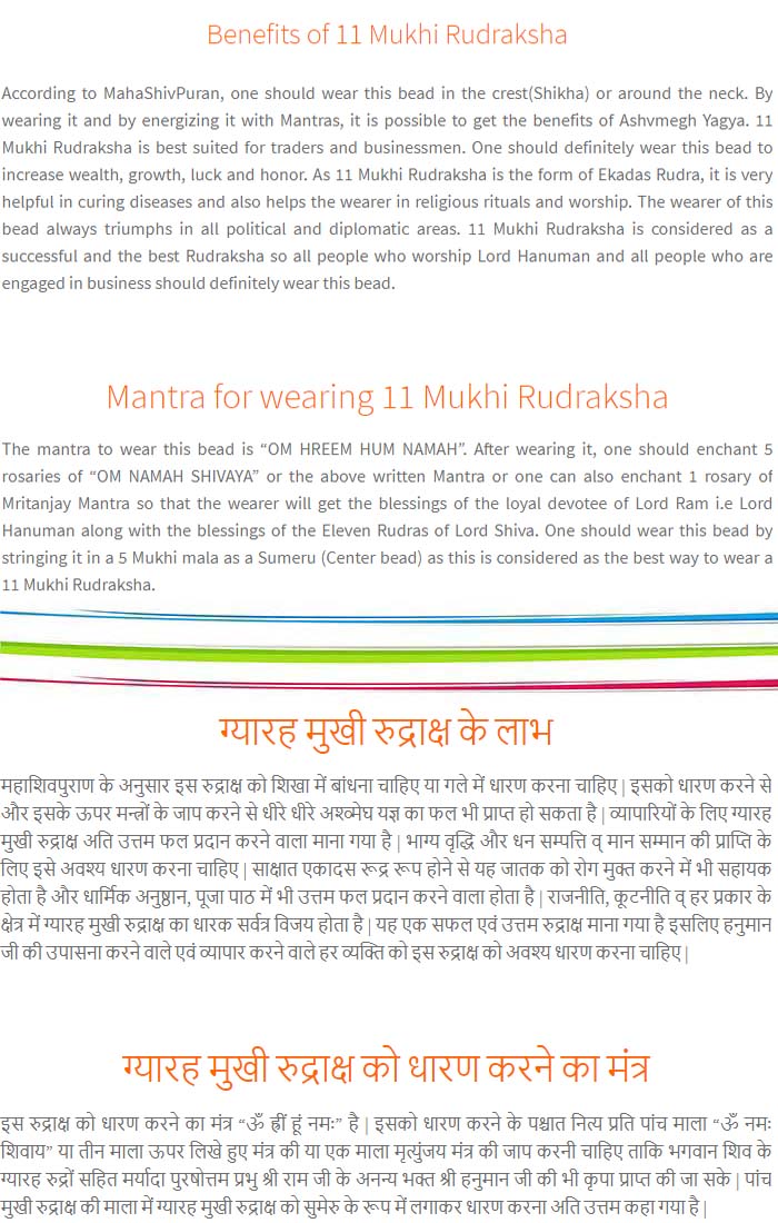11-Mukhi-Rudraksha-Nepal-Pendant-Benefits
