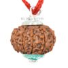 11-Mukhi-Rudraksha-Nepal-Silver-Pendant