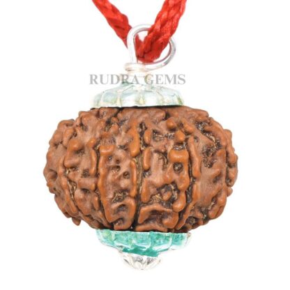 11-Mukhi-Rudraksha-Nepal-Silver-Pendant