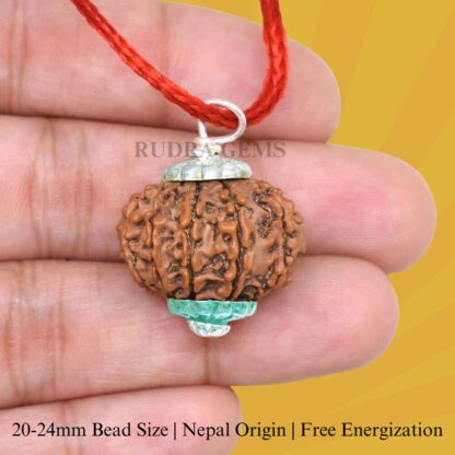 11-Mukhi-Rudraksha-Nepal-Silver-Pendant-Hand