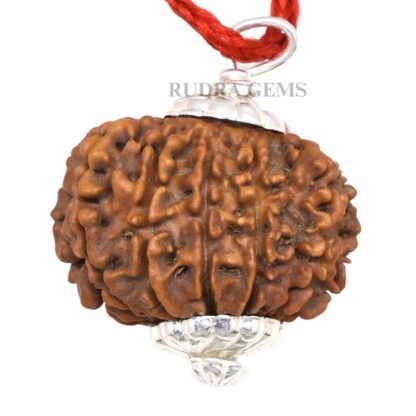 12-Mukhi-Rudraksha-Nepal-Silver-Pendant