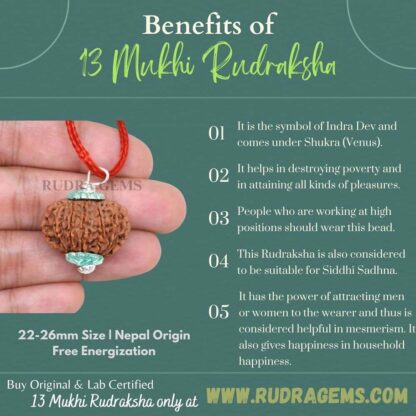 13 Mukhi Rudraksha Benefits