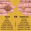 13-Mukhi-Rudraksha-Nepal-Java-Comparison