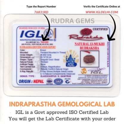 13-Mukhi-Rudraksha-Nepal-Lab-Certificate