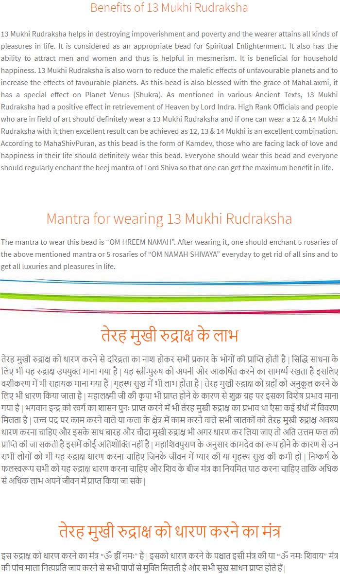 13-Mukhi-Rudraksha-Nepal-Pendant-Benefits