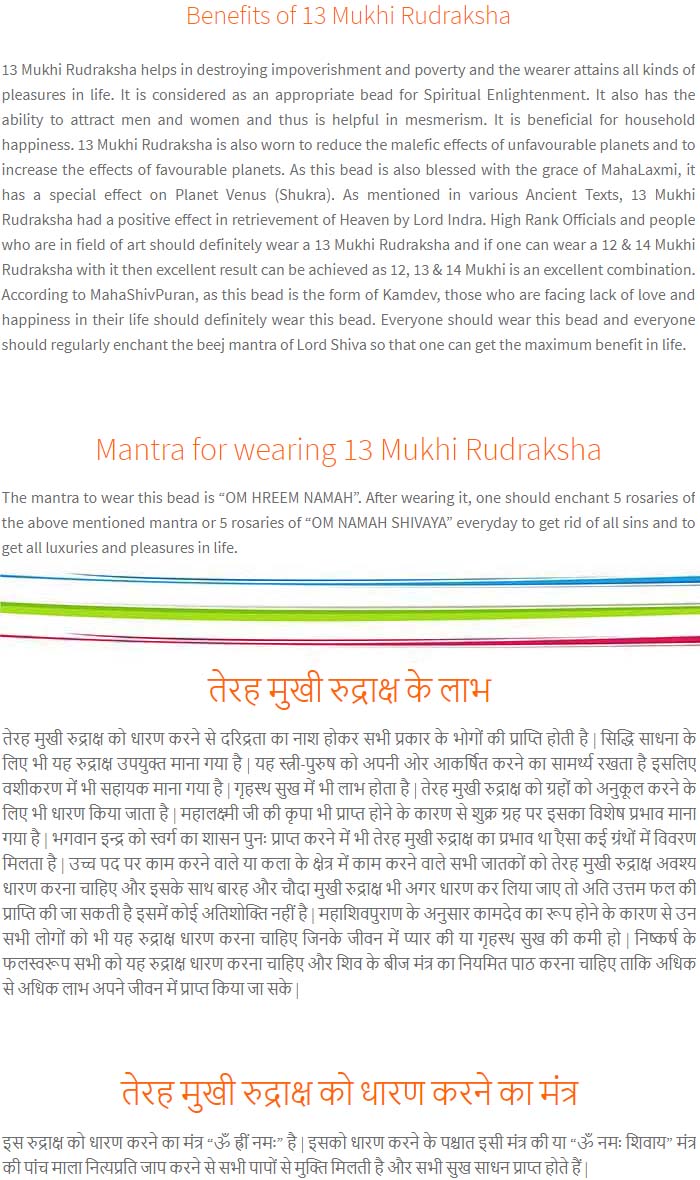 13-Mukhi-Rudraksha-Nepal-Pendant-Benefits
