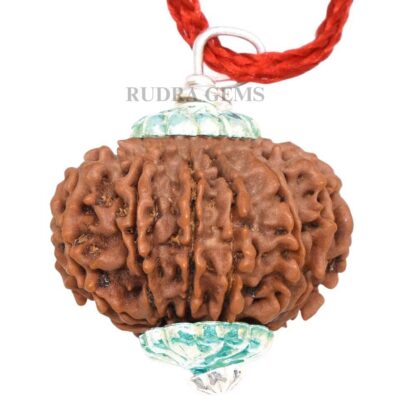 13-Mukhi-Rudraksha-Nepal-Silver-Pendant