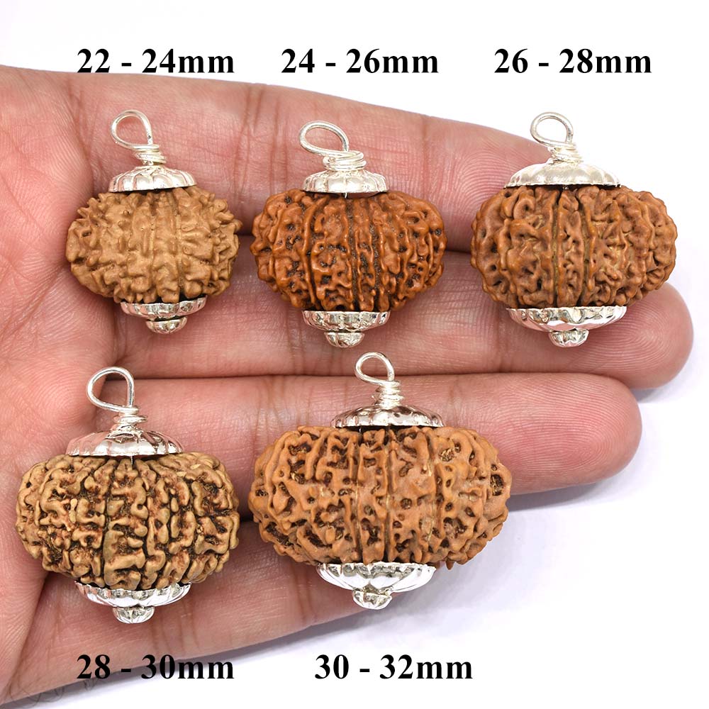 14-Mukhi-Rudraksha-Nepal-Size-Comparison-Hand