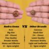 3-Mukhi-Rudraksha-Nepal-Comparison