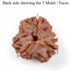 3-Mukhi-Rudraksha-Nepal-Pendant-Back