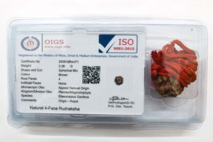 4-Mukhi-Rudraksha-Nepal-Certificate