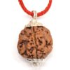 4-Mukhi-Rudraksha-Nepal-Pendant