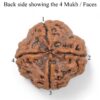 4-Mukhi-Rudraksha-Nepal-Pendant-Back