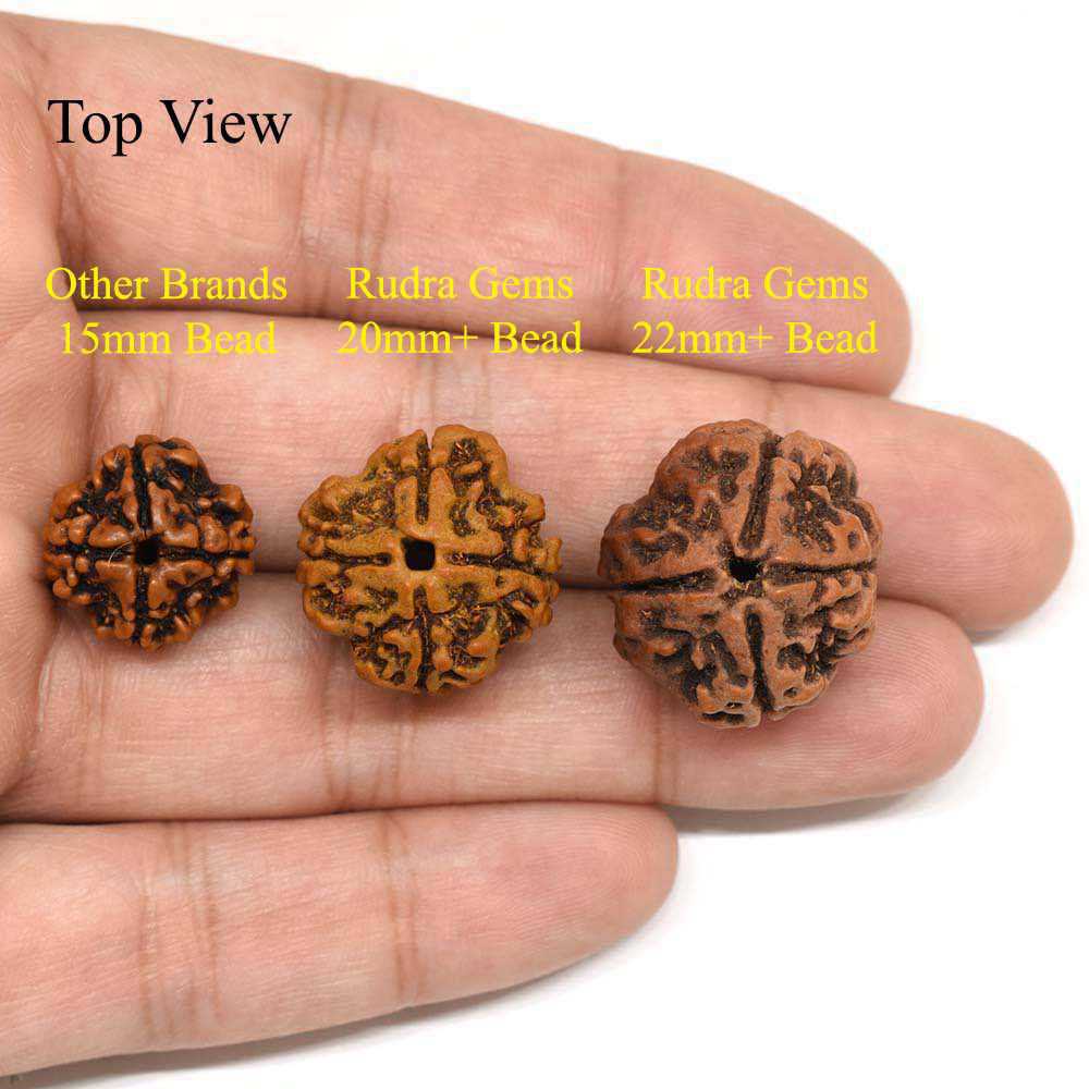 4-Mukhi-Rudraksha-Nepal-Pendant-Comparison-Top