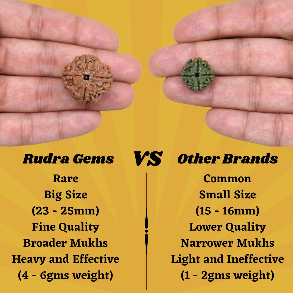 Rudra Gems 4 Mukhi Rudraksha
