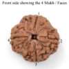 4-Mukhi-Rudraksha-Nepal-Pendant-Front