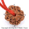 4-Mukhi-Rudraksha-Nepal-Thread-Top