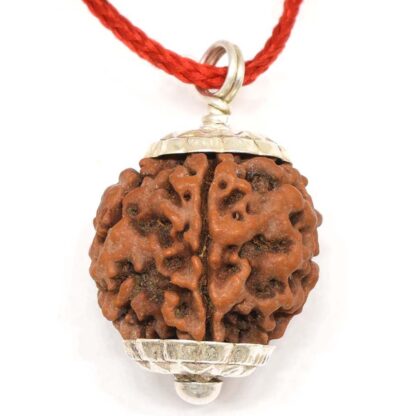 5-Mukhi-Rudraksha-Nepal-Pendant