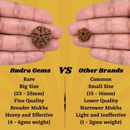 5-Mukhi-Rudraksha-Nepal-Pendant-Comparison