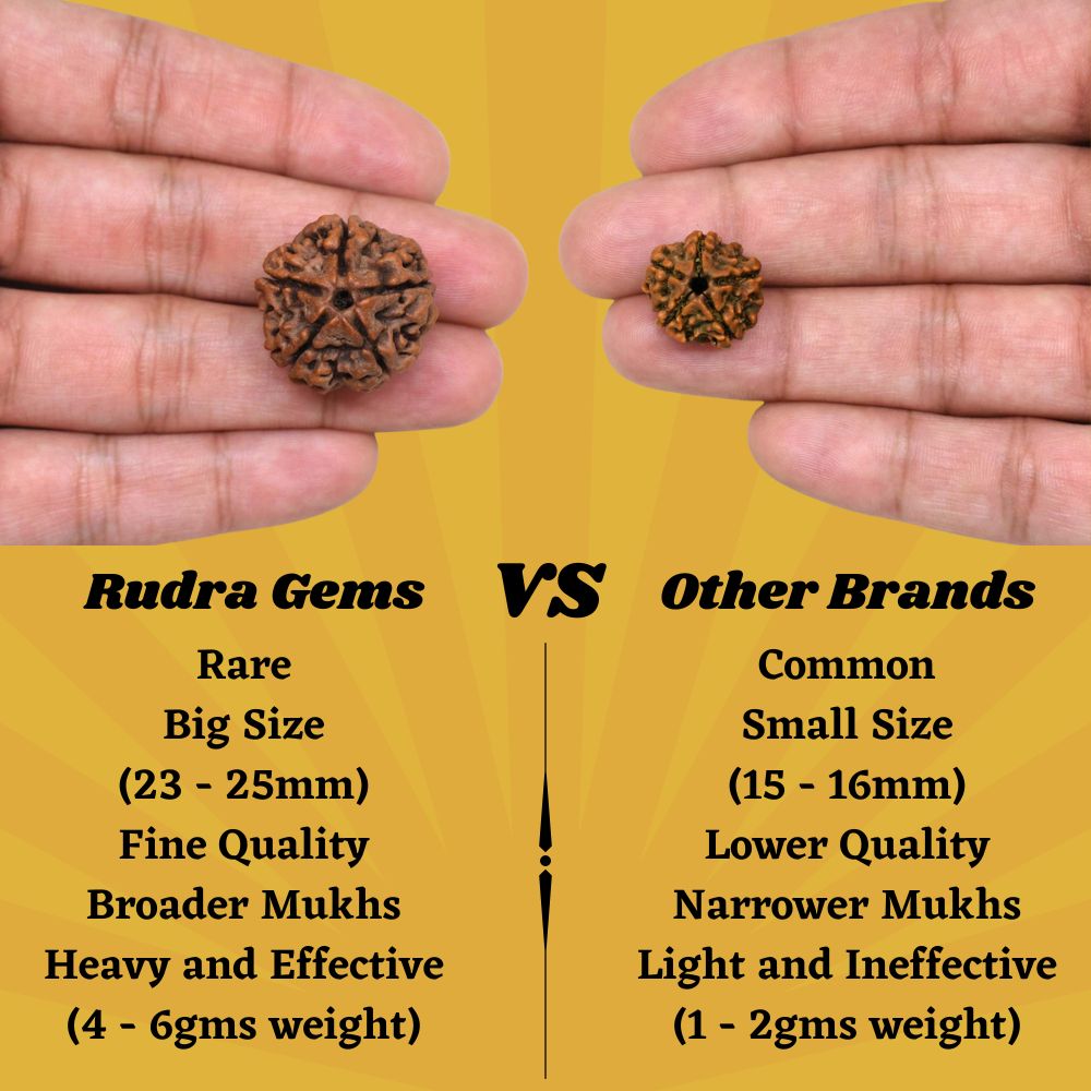 Rudra Gems 5 Mukhi Rudraksha