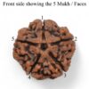 5-Mukhi-Rudraksha-Nepal-Pendant-Back