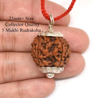 5-Mukhi-Rudraksha-Nepal-Pendant-Hand