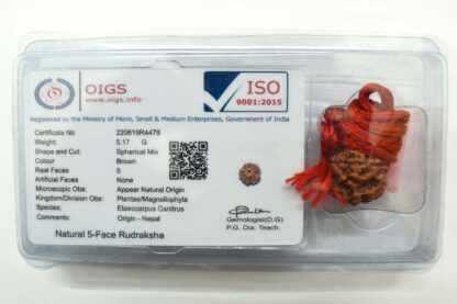 5-Mukhi-Rudraksha-Nepal-Thread-Certificate