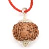 7-Mukhi-Rudraksha-Nepal-Pendant