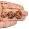7-Mukhi-Rudraksha-Nepal-Pendant-Comparison-Top