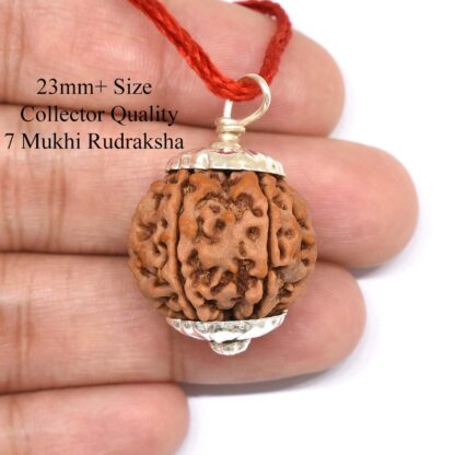 7-Mukhi-Rudraksha-Nepal-Pendant-Hand