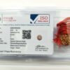 7-Mukhi-Rudraksha-Nepal-Thread-Certificate