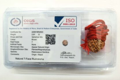 7-Mukhi-Rudraksha-Nepal-Thread-Certificate