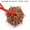 7-Mukhi-Rudraksha-Nepal-Thread-Top
